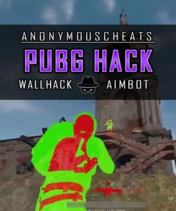 PUBG hacks with aimbot and wallhack
